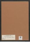 Navicula modesta Grun. (de-Toni-Nr.: Genus 1, Species 94) Zeichnungen Sammlung Grunow Mappe 00067 (Herbarium_W_Grunow_drawings_Folder_00067)